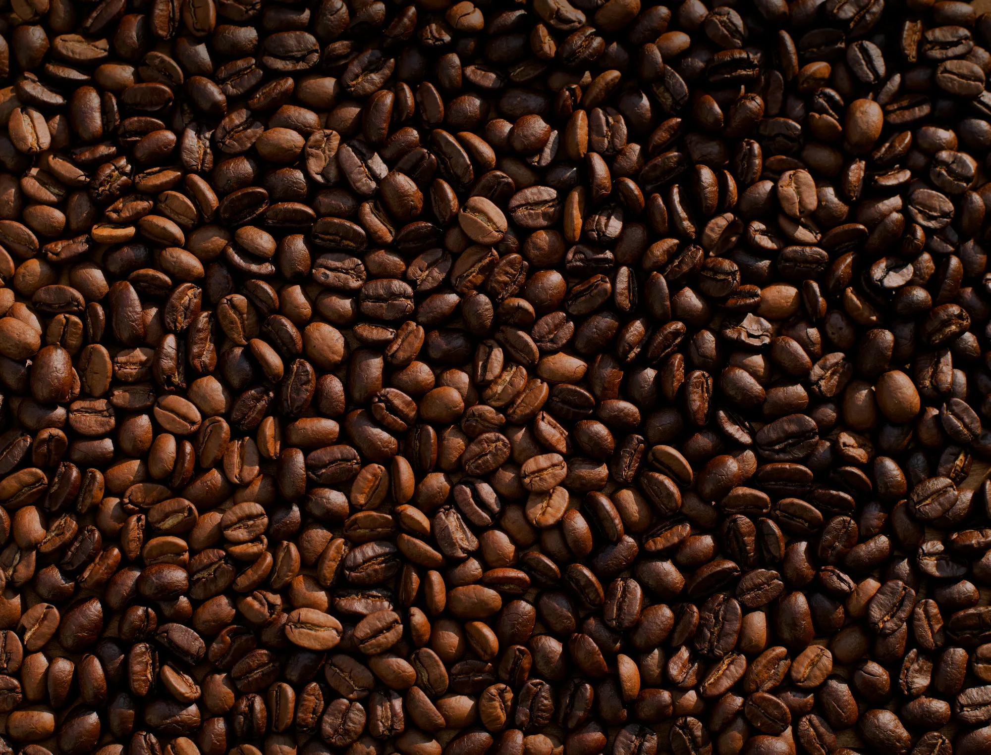 Beans to Take Home