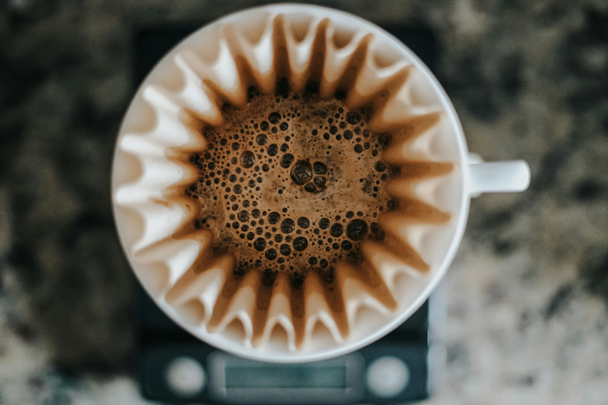 Slow Pour-Overs